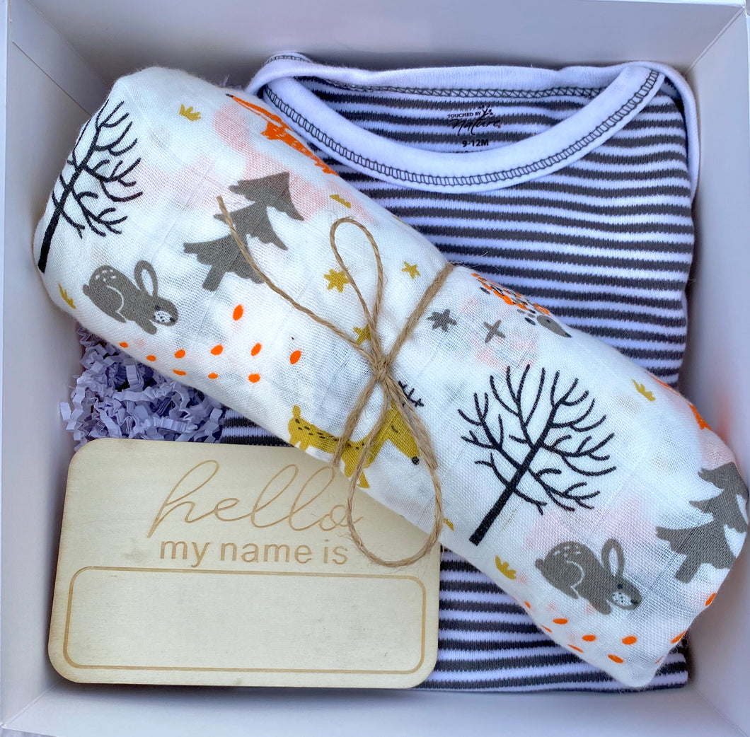 Striped onesie newborn box