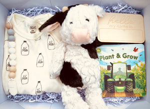 Little farm boy box